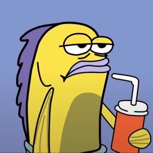 Meet your Posher, Kerry